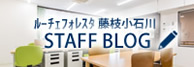 banner_blog_luce